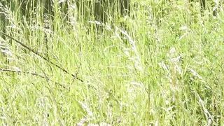 Milf sexy woman sunbathing naked on river bank. Naked in public. Wild beach Nudist. Ass. Pussy. Blonde. Doggystyle. Outside. POV - 6 image