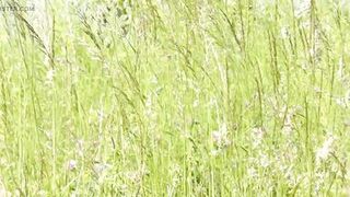 Milf sexy woman sunbathing naked on river bank. Naked in public. Wild beach Nudist. Ass. Pussy. Blonde. Doggystyle. Outside. POV - 9 image