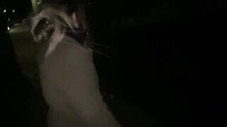 Street hotty's humiliation compilation - 10 image