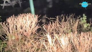 Street hotty abased and bonks a fake cock for a hunk on the street