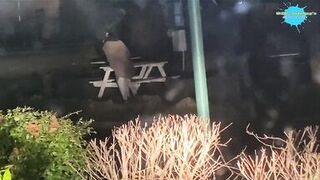 Street hotty abased and bonks a fake cock for a hunk on the street