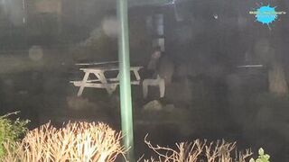 Street hotty abased and copulates a fake cock in the street for a man