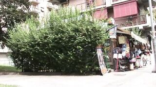 My Teacher is a Slut!