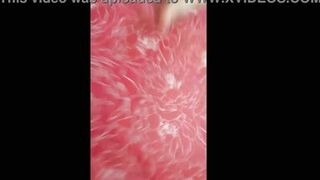 The red dress feat Ellie Cappotelli