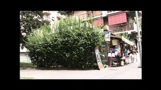 My Teacher is different!