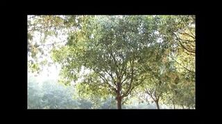 Exciting sex with a milf!