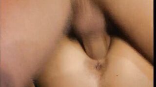 The Mythical Stallion!