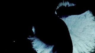 Vintage Steam Age Hairy Pussy