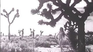 Vintage Steam Age Hairy Pussy