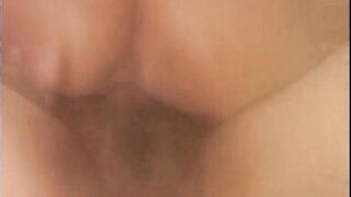 Uno Stallone in Casa Mia! - 12 image