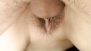 Te la Lecco al Lavoro!