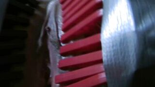 Annadevot - Obedience exercises