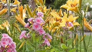 Dildo fucking on my terrace - 2 image